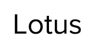 Ремонт стиральных машин Lotus в Рузе